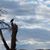 Merianne Stoneback's profile image