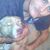 Dorothy N Brandon's profile image