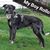 Glenda Howell's profile image
