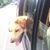 Bradley Michael Williams's profile image