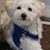 Sandra Meese Surratt's profile image