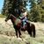 Patty Phillips's profile image