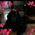 Kris Boring's profile image