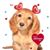 Kathie Oaks Whitehouse's profile image