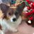 Robin Rohleder's profile image