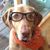 Michael Stevens's profile image