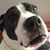 Kelly Drake's profile image