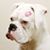 Juliette Curless's profile image