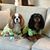 Kathleen Pistone Stauffer's profile image