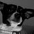 Regina Phalange's profile image