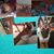 Prissy Gonzales's profile image