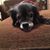 Peggy Truesdale's profile image