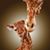 Rosemarie de Vera's profile image