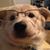 Bjong Wolf Yeigh's profile image