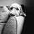 Dave Coulthard's profile image