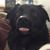 Jeffrey Bailes's profile image