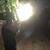 Juan Rivera's profile image