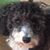 Milton Keenan's profile image