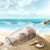 Nancy MacLeod Fitts's profile image
