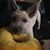 Terry Bovey-Piper's profile image