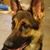 Sandra Sandidge's profile image