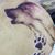 Lisa C. Wolanski's profile image