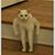 Elliot Roeder's profile image