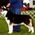 Jean Orne Labbe's profile image