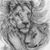 Preston Stephens's profile image