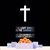 Jill Davlin's profile image