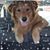 Kelly J. Burk's profile image