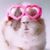 Lori Seubert's profile image