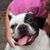 Theresa Thomas's profile image