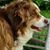 Debra Mitchell Crews's profile image