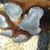 Stephanie SuperFly Crenshaw's profile image