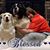 Kristal Onken Stewart's profile image