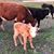 Stenson N Allison Sanders's profile image