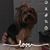 Stacy Neubauer's profile image