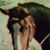 Jae Payne's profile image