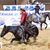 Teresa Padgett's profile image