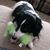 Lynn Spanbauer Stone's profile image