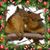 Donna Shyrock's profile image