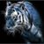 Christopher Barrick's profile image