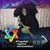 Jodi Greenberg Jones's profile image