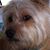 Clifton Venrick's profile image
