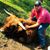 John Timms's profile image