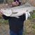 Phil Loughran's profile image