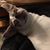 Joyce Smock's profile image
