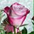 Jo Ann Matthews's profile image