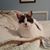 Lisa Dunstan's profile image